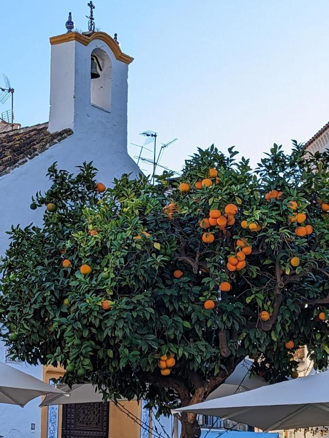 Marbella - Playa Alicate 2br holiday apartment Exteriör bild